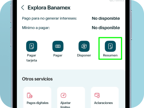 Ilustración de la app mostrando el botón de resumen.