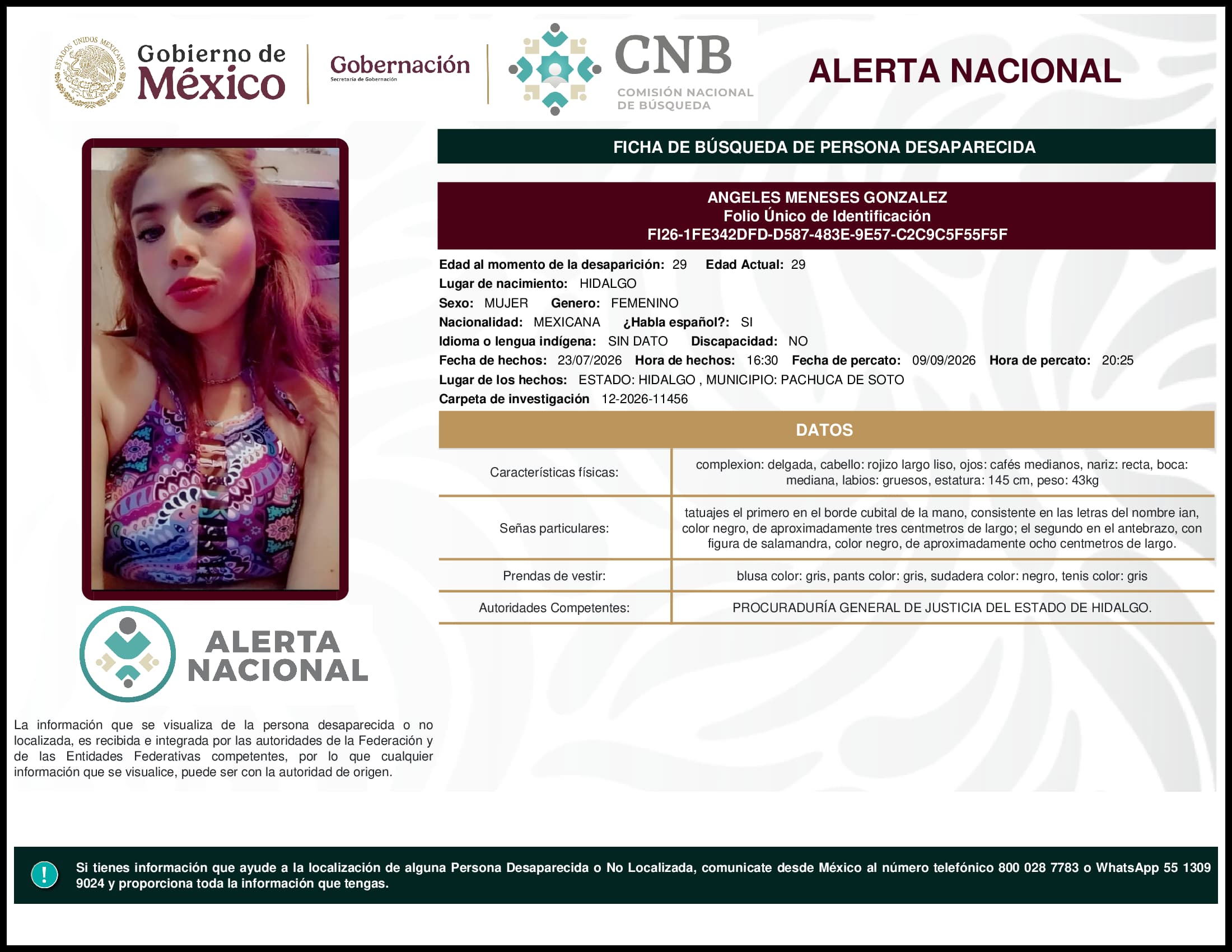 Persona desaparecida Angeles Meneses Gonzalez
