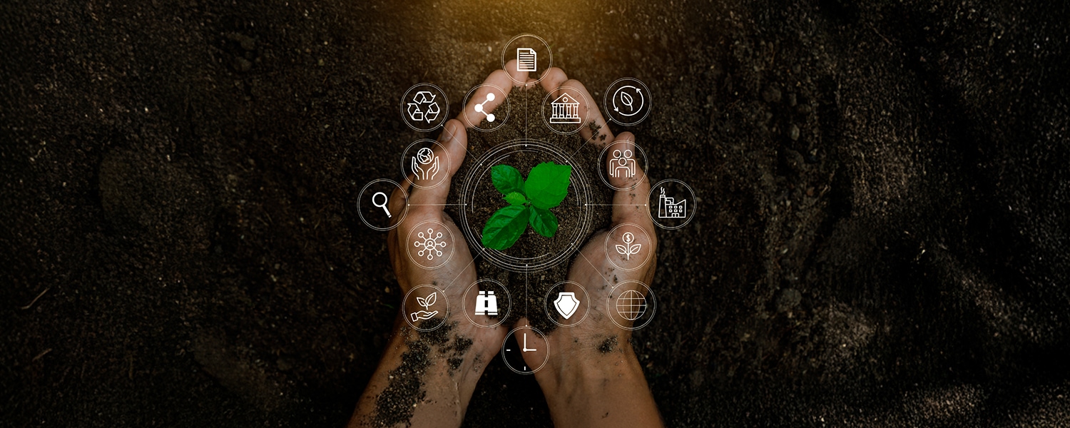 1.1 Sustentabilidad