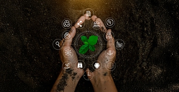 1.1 Sustentabilidad