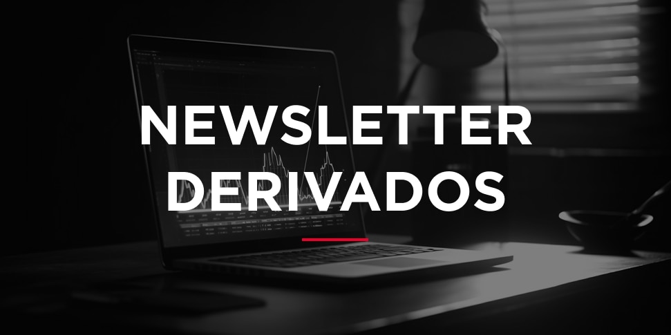 Newsletter derivados