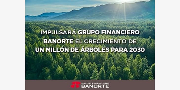 Impulsar&aacute; Grupo Financiero Banorte el crecimiento de un mill&oacute;n de &aacute;rboles para 2030