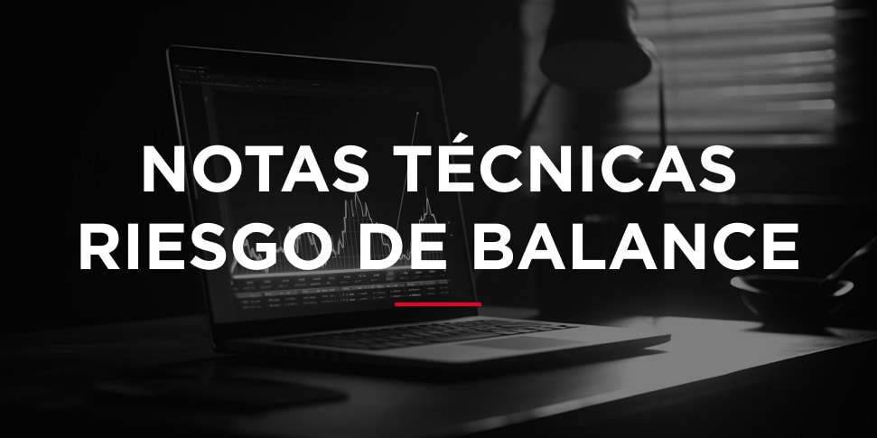 Notas tecnicas riesgo de balance