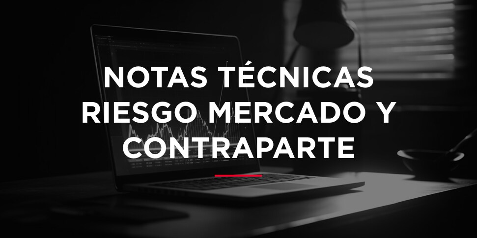 Notas tecnicas riesgo mercado y contraparte