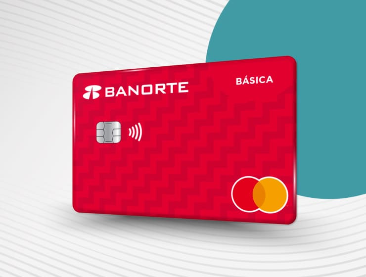 HBM_Categor&iacute;a - TDC