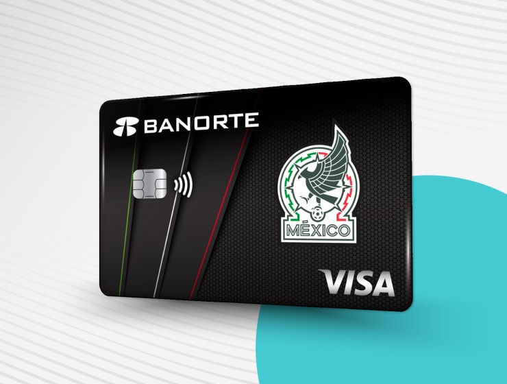 HBM_Categor&iacute;a - TDC