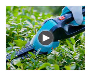 Cuál es el mejor cortasetos para tu jardín