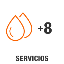 8 servicios o más