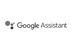Google Assistant