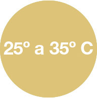 Máximas entre los 25 °C y 35 °C
