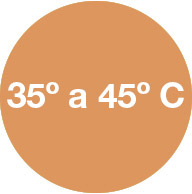 Máximas entre los 35 °C y 45 °C