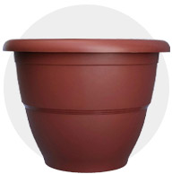 Terracota