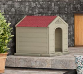 Casas