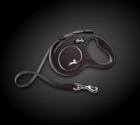Collares y correas
