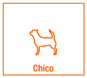 Chico