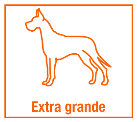 Extra grande