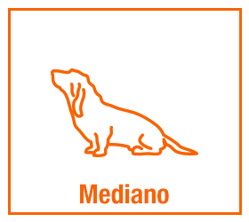 Mediano