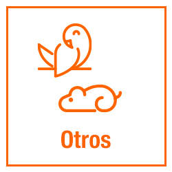 Otros