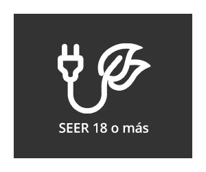 Seer 18 o más