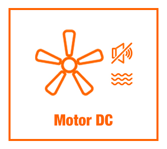 Motor DC