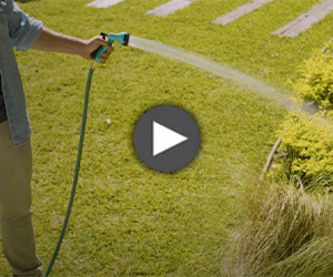 Cómo cuidar tu jardín en verano