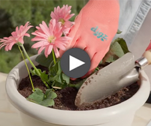 Cómo combinar abono y fertilizante para tu jardín