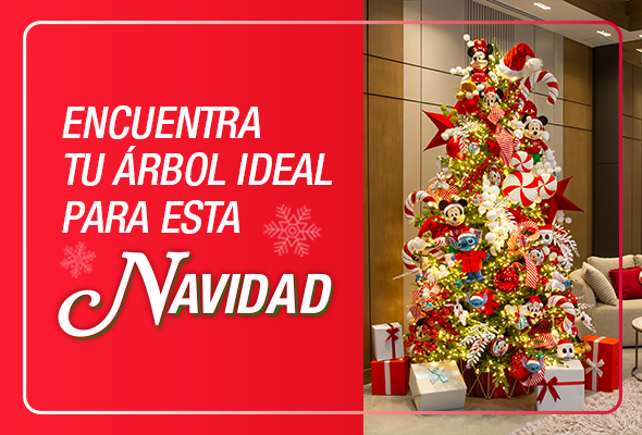 Encuentra tu árbol ideal para esta Navidad