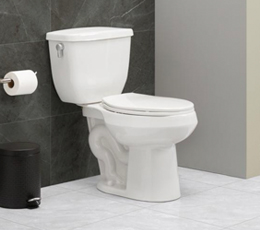 Sanitarios 2 piezas