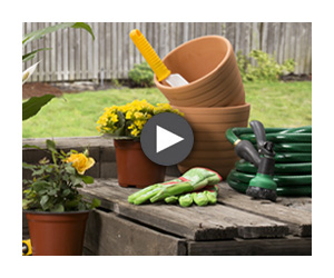 Cómo cuidar tu jardín en verano
