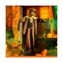 De terror