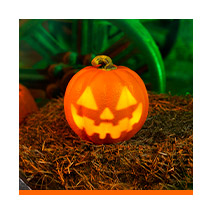Calabazas de Halloween