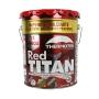 IMPERMEABILIZANTE ACRÍLICO RED TITAN 12 AÑOS AISLANTE TÉRMICO TRÁFICO PEATONAL ROJO TERRACOTA 19 L