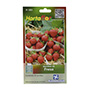 SEMILLAS DE FRESA 30 SEMILLAS HORTAFLOR