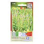 SEMILLAS DE CHÍA 3 GR MORADO HORTAFLOR