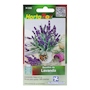 SEMILLAS DE LAVANDA EN SOBRE DE 0.5 GR HORTAFLOR