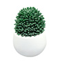 PLANTA ARTIFICIAL DECORATIVA CON MACETA BLANCA DE CERÁMICA