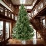 ÁRBOL NAVIDEÑO CANADIENSE 5 M CON 4502 RAMAS