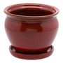 MACETA WISTERIA ROJA 8"
