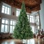 ÁRBOL NAVIDEÑO BÁVARO DE LUJO 4.20 M CON 2612 RAMAS