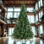 ÁRBOL NAVIDEÑO BÁVARO DE LUJO 5 M CON 3488 RAMAS