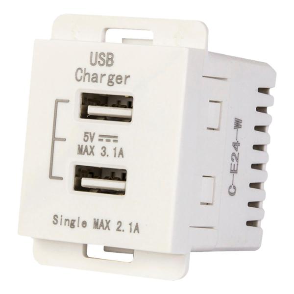 CARGADOR DE 2 PUERTOS USB TIPO A 1/2 PULGADA BLANCO LEVITON