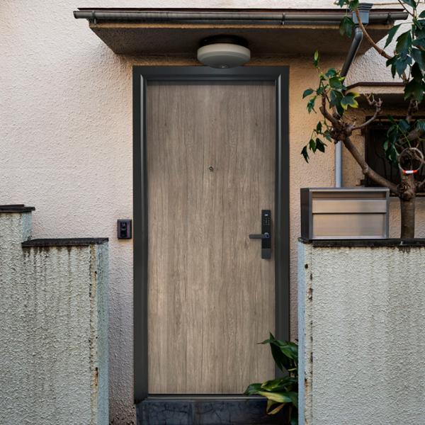 PUERTA EXTERIOR DE SEGURIDAD 13 PASADORES CON CERRADURA DIGITAL 96X213 CM IZQUIERDA GRIS TIPO MADERA