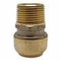 ADAPTADOR MACHO 3/4 X 3/4 DE PULGADA DORADO COFLEX