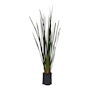 LIRIO PERSA NATURAL EXTERIOR SOL ORNAMENTAL 106 X 12.3 CM VERDE