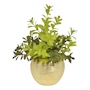 PLANTA DEC. GOLD CH