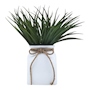 PLANTA DEC. BLANCA GDE