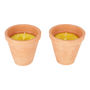 VELA DE CITRONELA EN MACETA DE BARRO 23 X 11.8 CM AMARILLO PISUMMA 2 PIEZAS