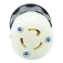 CONECTOR CON SEGURO 7 X 3.8 CM BLANCO LEVITON