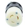 CONECTOR CON SEGURO 9 X 5.2 CM BLANCO LEVITON