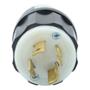CLAVIJA CON SEGURO 9.6 X 5.5 CM NEGRO LEVITON